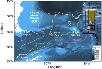 Contrasting life cycles of Southern Ocean pteropods alter their vulnerability to climate change